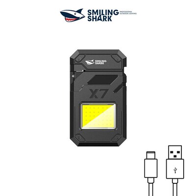 Multifunctional arc lighter portable lighting work light