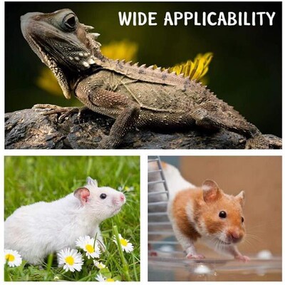 Small Pet Reptile Lizard Gecko Bearded Dragon Harness Leash