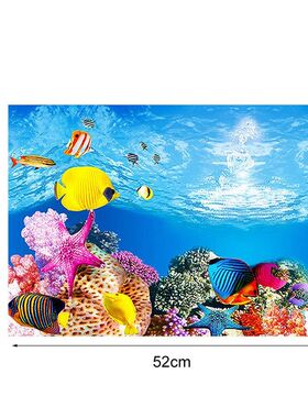 Fish Tank Background HD 3D Drawing Aquarium Glass Wall Backg