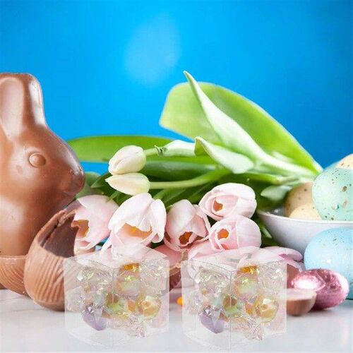 25 Pcs Plastic Packaging Boxes Clear Transparent Food