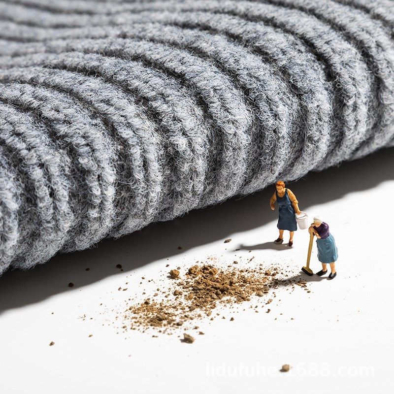 入户门垫进门地垫家用防滑地毯可擦洗客厅门口卧室卫生间自粘地垫,居家布艺,地毯,淘宝优惠券,粉丝福利购,淘宝优惠卷