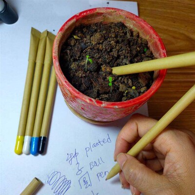 50 PCS Bamboo Plant Stick Plant Support Flower Stick Orchid