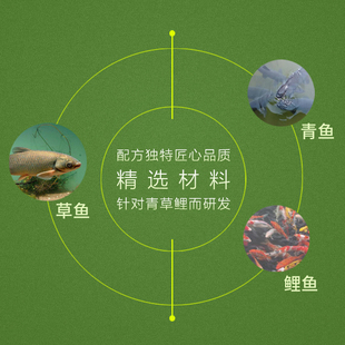 辉冠鱼饵草黑诱颗粒草鱼饵野钓黑坑钓饵鱼料专攻大草巨青钓料鱼饵