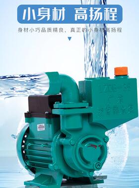 广东5凌来霄水泵1ZDB3家用高自水增压泵扬程2VKE20V抽水机清水自