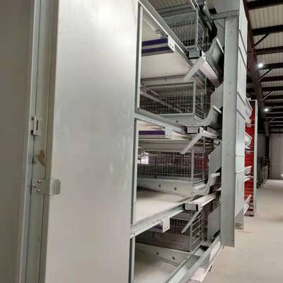 大自层叠笼蛋鸡雏鸡笼全UMD动收清理粪便捡蛋机热镀锌养殖场设集