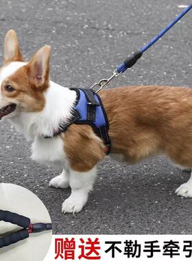 2019Dog leash medium large dogs walking harness collar chain