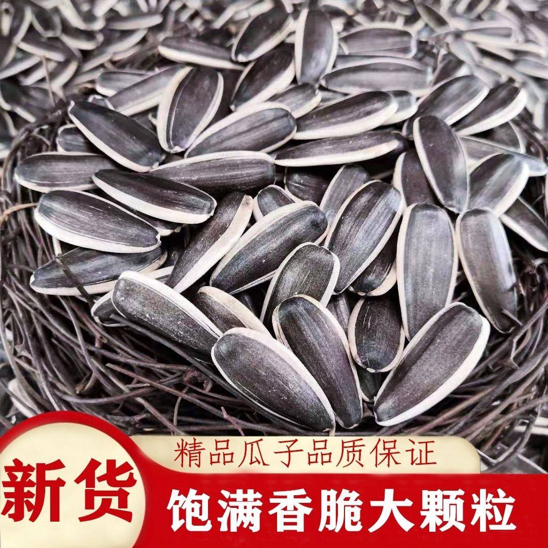 【下单立减20】新瓜子新货瓜子大颗粒原味现炒熟瓜子内蒙葵花籽