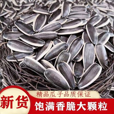 【下单立减20】新瓜子新货瓜子