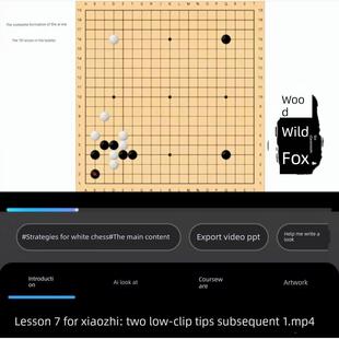 AI时代的围棋定式大全视频课木野狐出品定式详解和应用场合分析