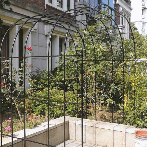 拱门花架爬藤架户外花园阳台园艺支架葡萄月季花铁线莲植物架