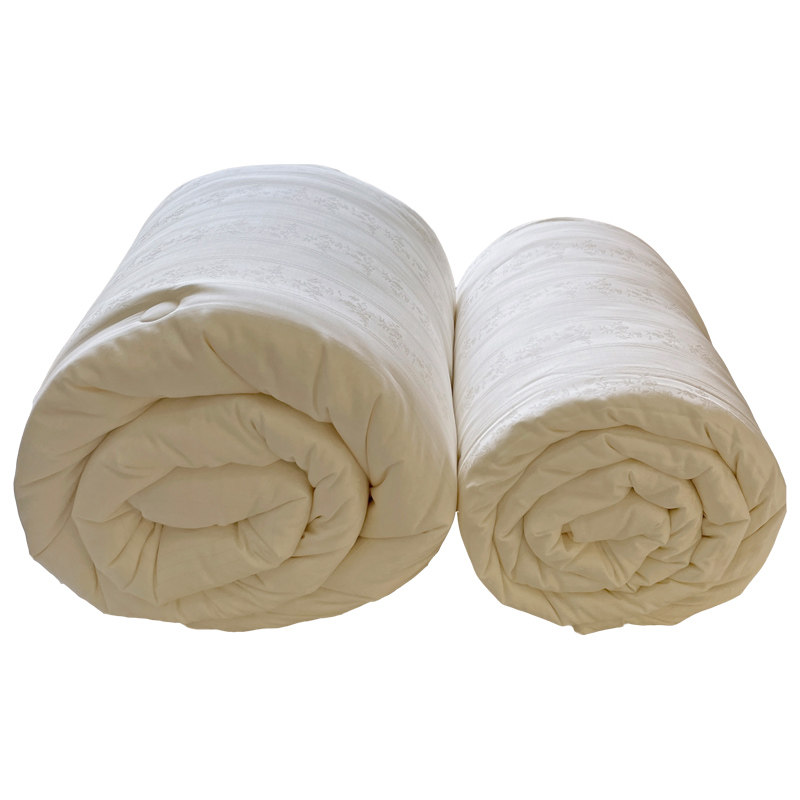 A类大提花被子被芯蚕丝玉米蛋白纤维春秋被冬季加厚保暖双人冬被,床上用品,化纤被,淘宝优惠券,粉丝福利购,淘宝优惠卷