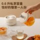 养生壶多功能家用养生杯办公室小型花茶壶迷你煮茶器全玻璃烧水壶