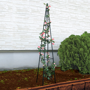 铁线莲园艺支架攀爬架包塑管植物爬藤铁艺支撑杆花盆支柱月季花架