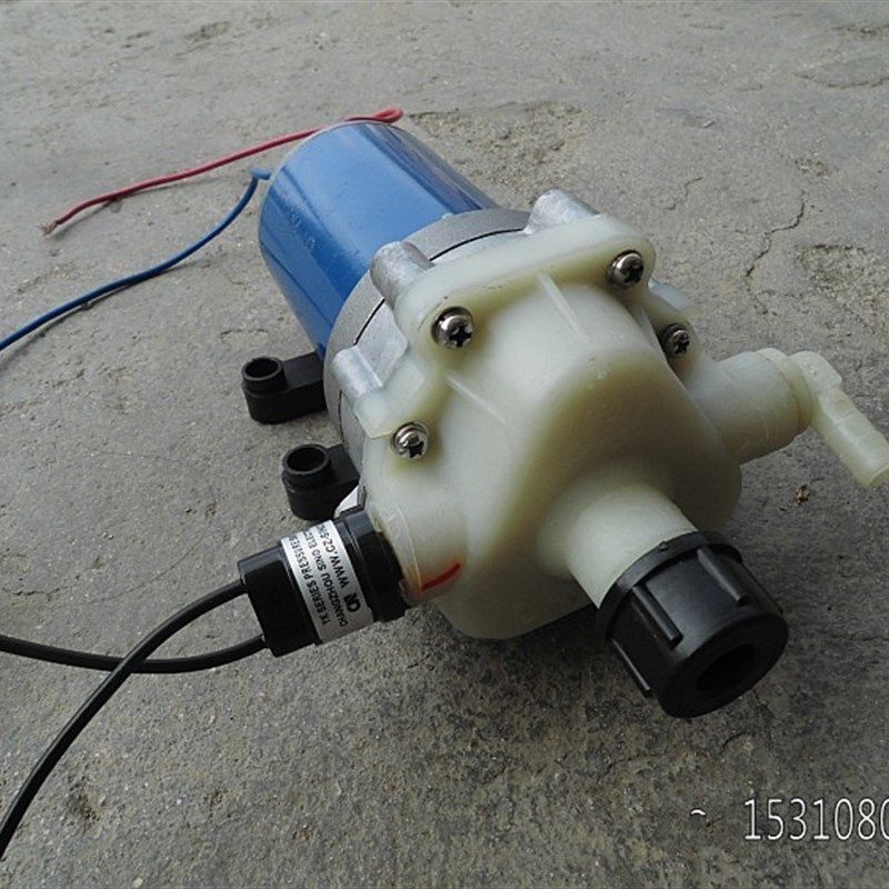 12V2800隔膜泵电动打药机洗车泵车载洗车器带压力开关喷雾水泵