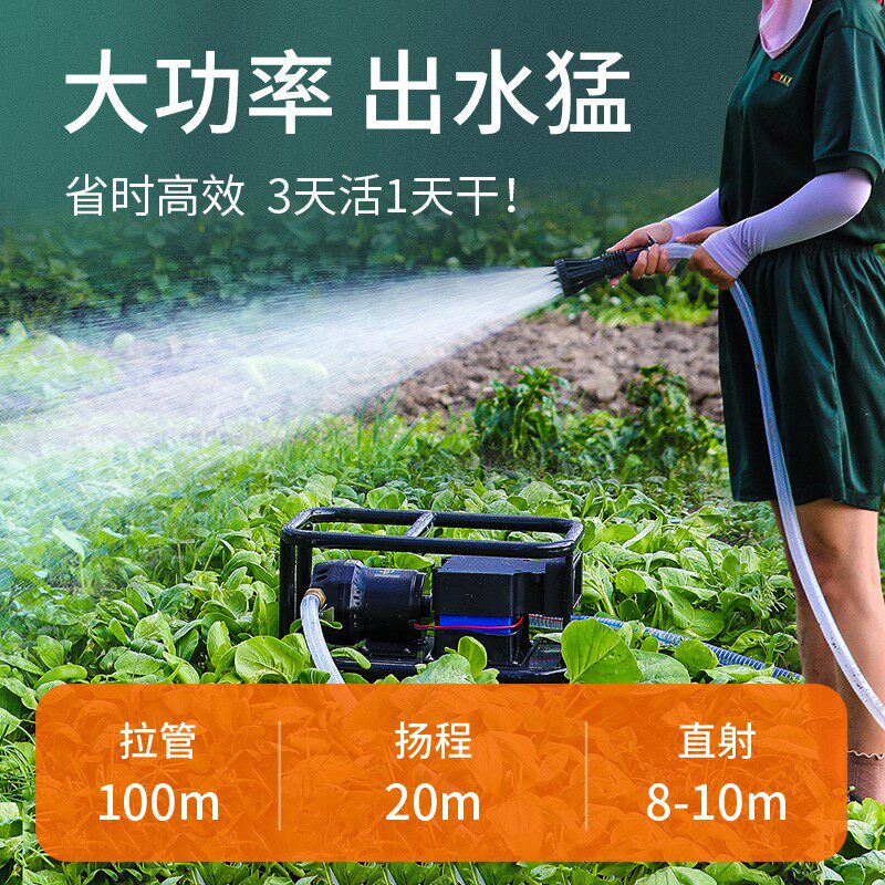 水泵家用抽水浇菜神器自吸电动充电式12v24v直流农用大功率抽水机