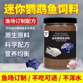 迷你宝蓝鹦鹉鱼饲料小颗粒家养高蛋白增色幼鱼小型热带鱼开口鱼食