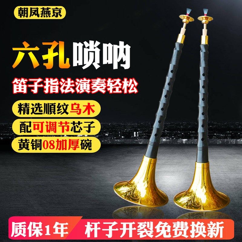 笛子唢呐乐器全套6孔笛子指法演奏大音量专业乌木降b调初学者d调