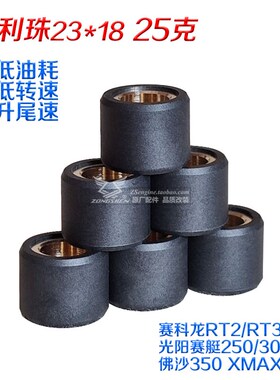赛科龙RT2改装配件 传动 普利珠 25克 23*18光阳赛艇300 静音省油