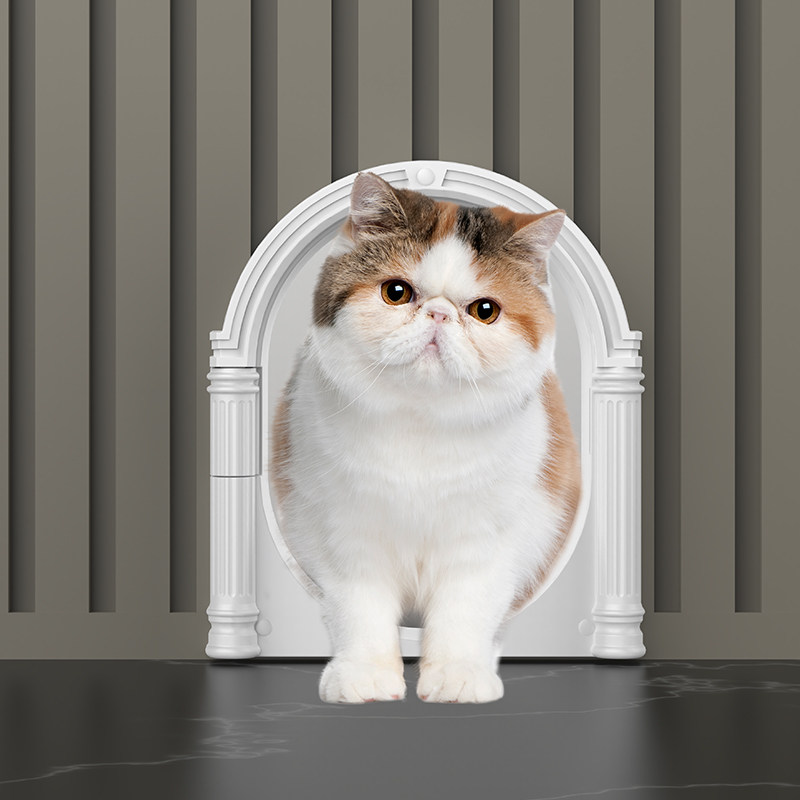 宠物自由进出入门猫门洞宠物猫咪小狗狗进出的安装木门铁门墙壁门,宠物/宠物食品及用品,猫窝/屋/帐篷/沙发,淘宝优惠券,粉丝福利购,淘宝优惠卷