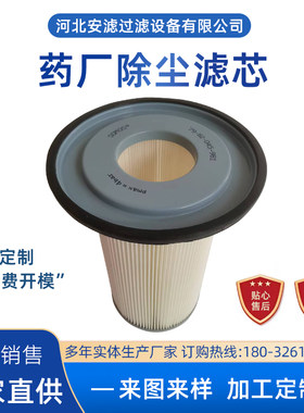 SOMOS除尘滤芯79-82-045-981真空上料机药厂粉末滤芯加药机过滤器