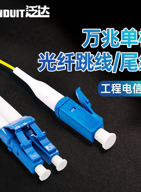 泛达单模光纤跳线LC-LC2米3米尾纤延长连接线单模LC尾纤1米万兆