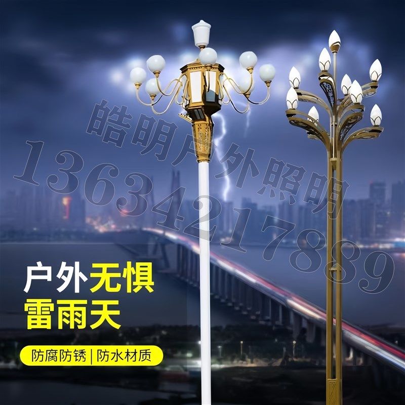 中华灯玉兰灯广场主干道公园游乐场大型景观灯庭院灯LED中高杆5米,家装灯饰光源,道路灯具/智慧路灯/智慧灯杆,淘宝优惠券,粉丝福利购,淘宝优惠卷