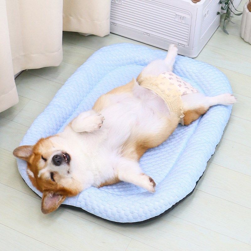 宠物狗狗垫子凉垫睡垫地垫四季通用夏季睡觉冰垫降温夏天柯基狗窝,宠物/宠物食品及用品,猫狗垫子,淘宝优惠券,粉丝福利购,淘宝优惠卷