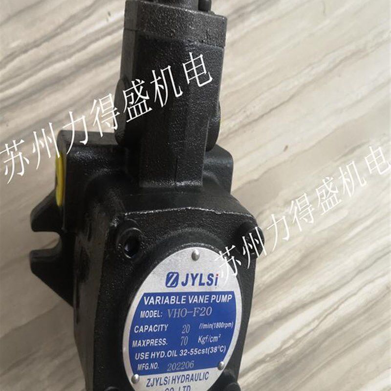 原厂ZJYLSI叶片泵VHO-F20 VHO-F30 VHO-F40 VHO-F15 实物拍摄