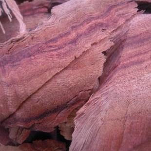 地板专用千年红芳樟木块 防蛀防虫剂 天然香樟木片红樟木条非粉屑