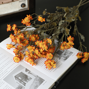 高级感2023新款小雏菊仿真花束假花干花摆设客厅餐桌插花摆件装饰