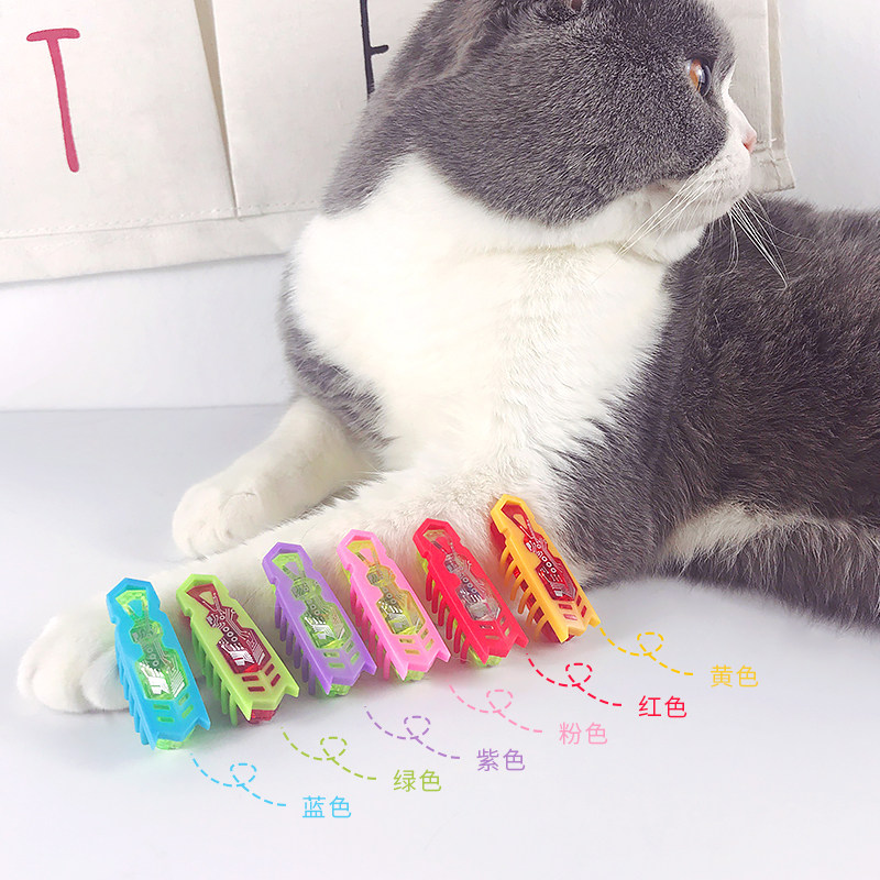 猫咪玩具最爱 电动猫玩具逗猫老鼠可爱甲虫自动翻身宠物猫咪用品,宠物/宠物食品及用品,逗猫棒,淘宝优惠券,粉丝福利购,淘宝优惠卷