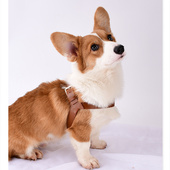 狗狗牵引绳背心式 大型犬防爆冲遛狗绳外出中型犬狗带金毛边牧宠物