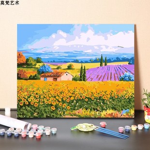 数字油画diy手工填充治愈系五彩斑斓花海手工手绘涂色丙烯油彩画