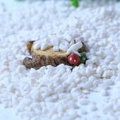 50斤天然白石子造景庭院景观铺路花盆鱼缸多肉铺面鹅卵石工程施工