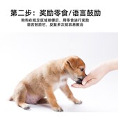 狗狗定点排便诱导剂狗大小便定位排便训厕液狗厕所诱导剂导尿剂