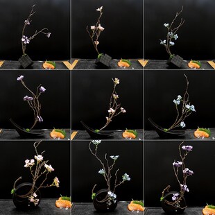 刺身摆盘装饰酒店干冰花草冷菜海鲜姿造点缀盘式围边三文鱼摆件