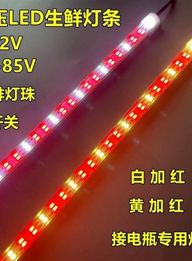 夜市电瓶灯低压12v48v60v红色led灯条照水果生鲜熟食卤味夜市灯管