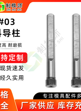 直径D35 D40D50淬火斜导柱模具斜顶杆斜撑销削边斜导柱塑料45#钢