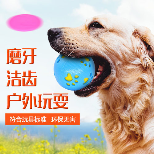 Chukchi楚克奇宠物发声橡胶球飞盘训练玩具磨牙洁齿耐咬弹力球
