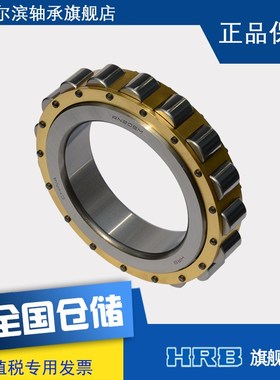 HRB新型号 RN205M 旧型号 502205H哈尔滨轴承无外圈偏心套圆柱滚