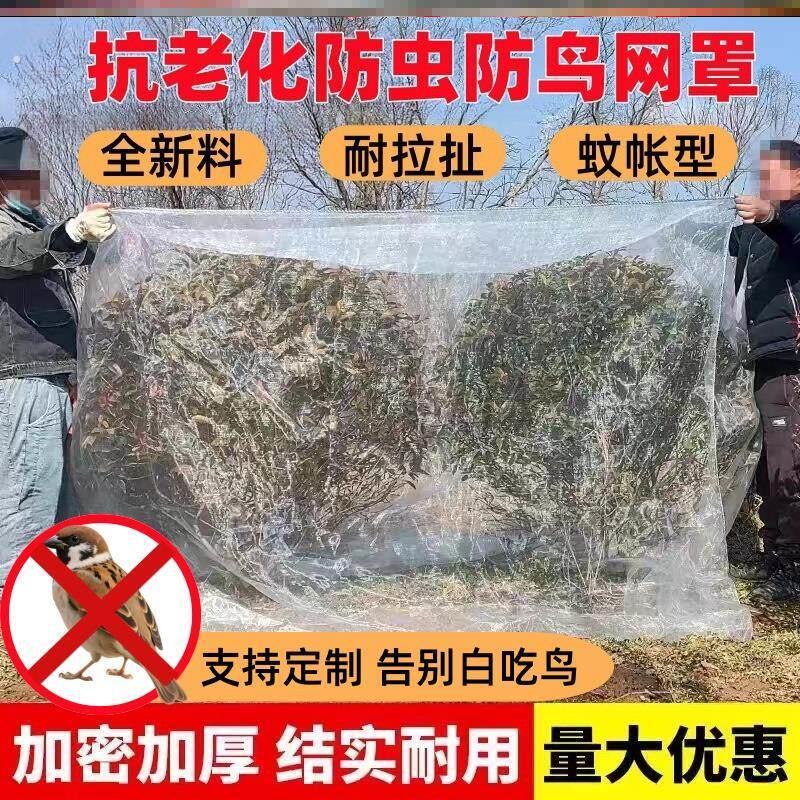 果树鸟防护网防鸟蚊帐果园防虫网罩神器用的网农用种菜专用尼龙网
