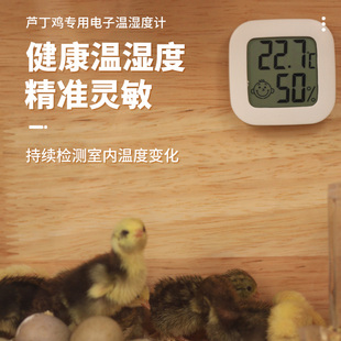 芦丁鸡温度计孵化工具用品养殖卢丁鸡饲养箱育雏箱专用配件湿度计