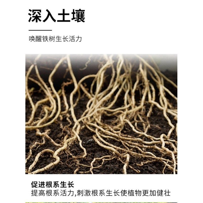 铁树专用肥家用室内户外大型小型盆栽防治黄叶苏铁有机肥通用颗粒,鲜花速递/花卉仿真/绿植园艺,家庭园艺肥料,淘宝优惠券,粉丝福利购,淘宝优惠卷