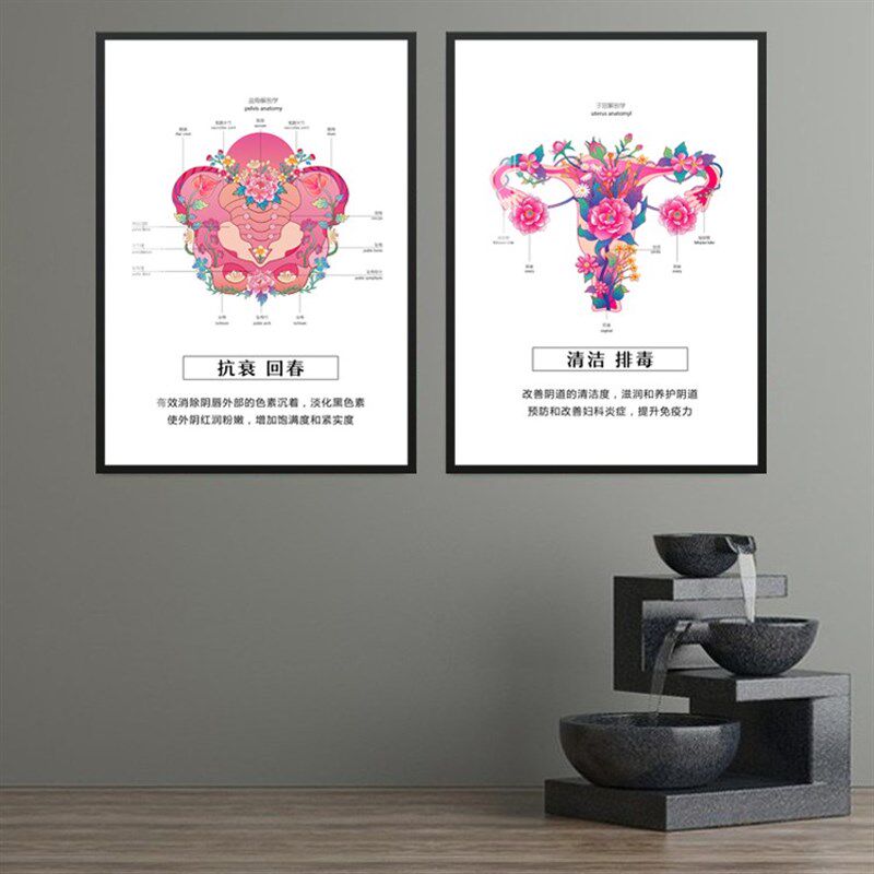 私密解剖艺术挂画 妇科医院母婴馆墙装饰画产后修复生殖保养壁画