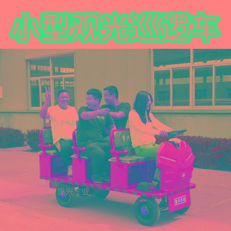 重兴车业 电动搬运车方向盘式新款四轮平板运输车仓库拉货拉客车