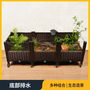 养黄缘闭壳龟专用生态缸造景植物绿植全套饲养箱安缘半水龟养殖箱