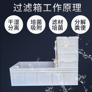 养鱼养龟箱塑胶白色发色周转箱养龟缸乌龟养殖箱水陆塑料家用鱼缸