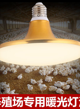 led暖光灯泡鸡舍猪场照明灯蛋鸡节能灯家用暖黄球泡超亮飞碟灯