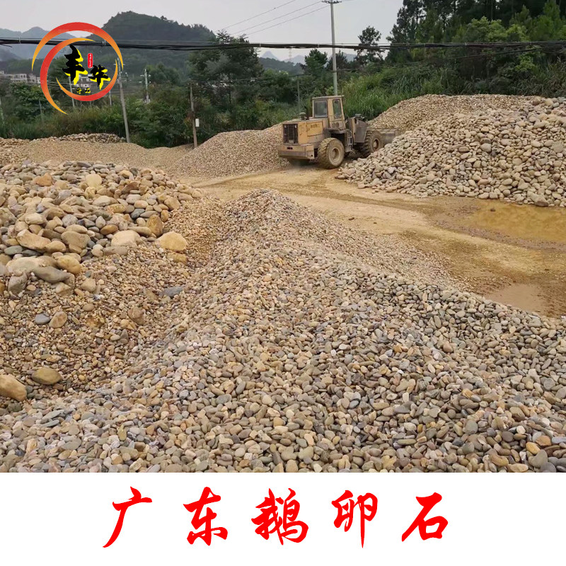 广东鹅卵石铺路石小粒园林铺地石子大号漂染用或变压器站天然石头