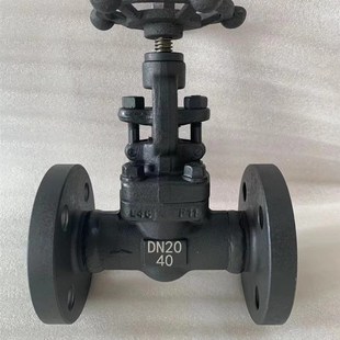 A105锻钢法兰截止阀闸阀高压蒸汽耐高温导热Z 25C40C64C100C J41H